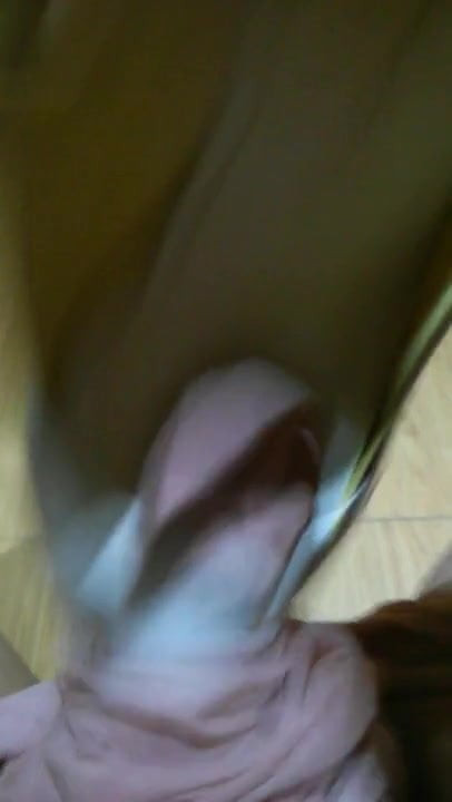 shoejob