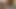 Amateur solo masturbation cumshot