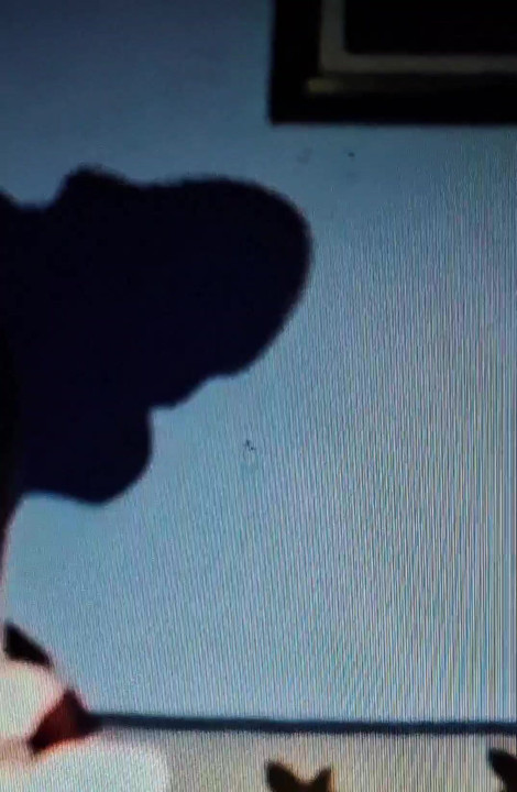 MAKING SHADOWS ON THE WALLS