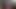 MUSCLEFUCK LIVE