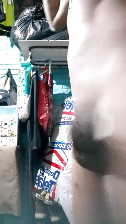 Model semula jadi