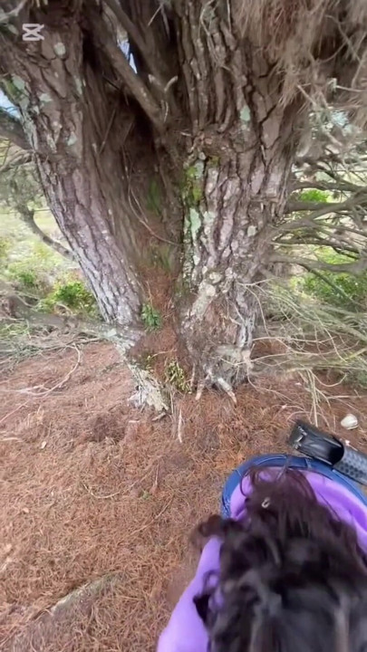 We look for a place in the woods and suck his dick | Clip 1
