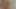 Yeni seksi iç çamaşırımı çekmeye çalışıyorum, Apollo Ty Honey'den hediye