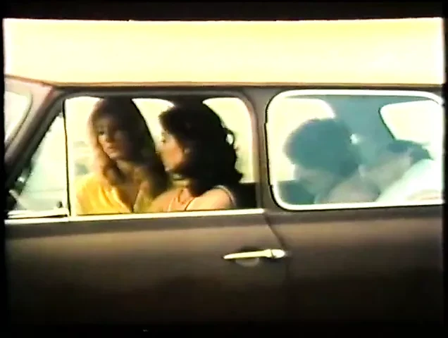 Le Porno killers (1980)