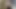 Zavallı küçük yaraklı erkek arkadaşı için açık havada eğlenceli bir oral seks