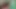 Вирусный