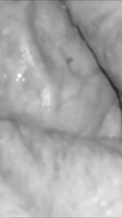 Super wet pussy welcoming huge cock in deep grotto. The bitch moans deliciously | Clip 1