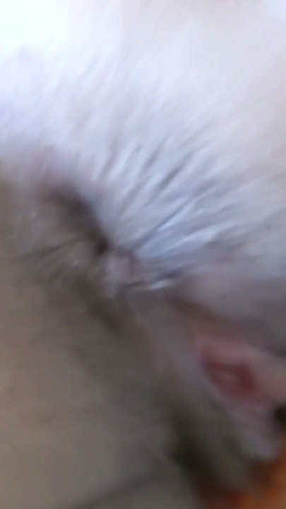 Enjoying my stepmother's big pussy and ass, she writhes with pleasure and begs me to fuck her. | Clip 1