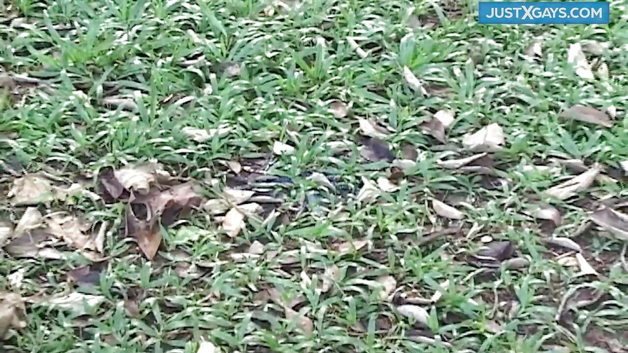 Žestoko gay jebanje u šumi