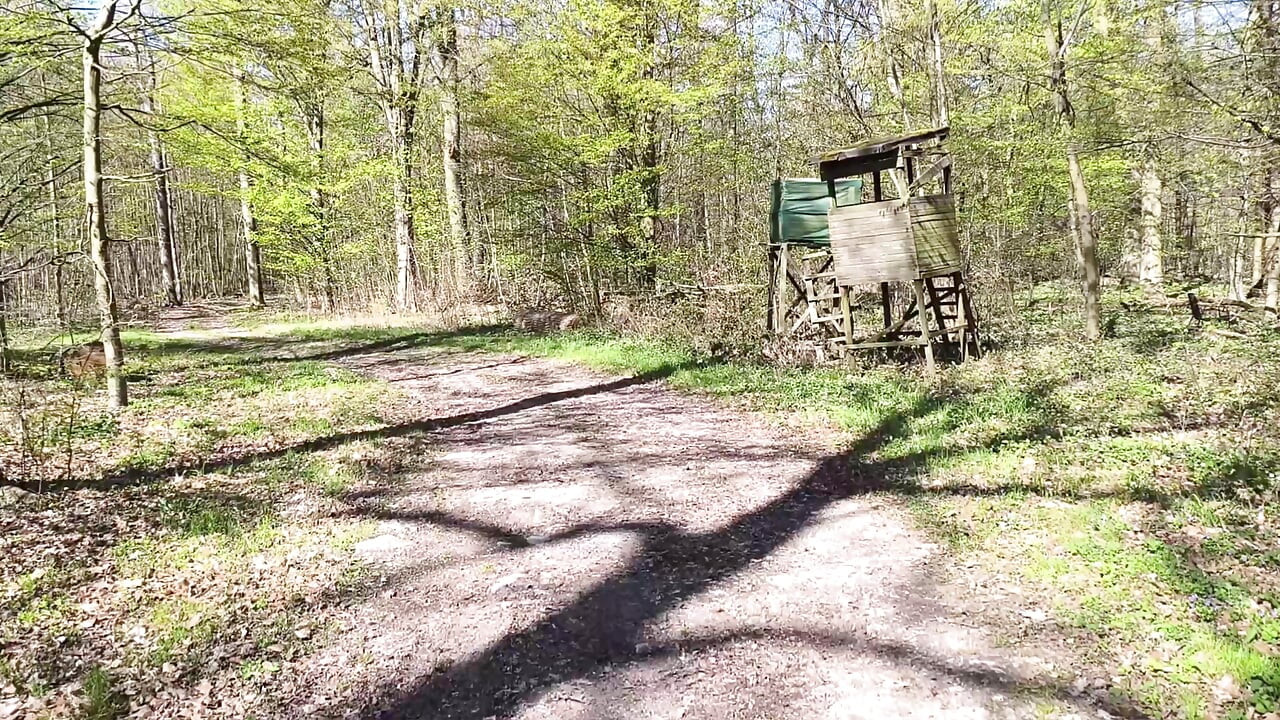 Gyönyörűen dolgozik a melleivel az erdőben