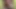 Sucked a stranger in the woods and he put his fat dick in the ass - 378