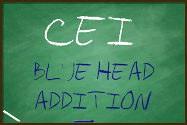CEI for Really Gay Sissy