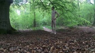 裸の遊歩道。