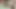 Interracial video with Miss Cloe a young slut with a smooth vagina and brown hair wants a BBC and drink cum