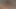 3D FUTANARI - Hot Sexy Tranny and Girls, Cartoon Animation TS