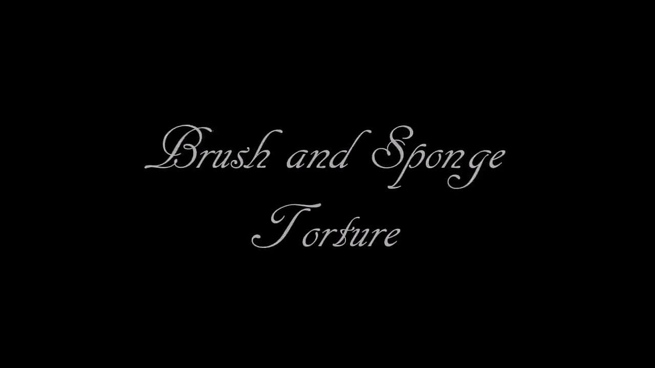 Brush and Sponge