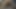 Submitted milf squirting while getting fucked (Milfs & Step Moms)