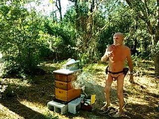 Desafio de apicultor nua