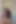 Pam bells fickt im motel und lässt ihren liebhaber in ihren mund kommen