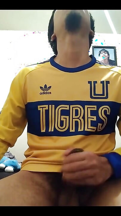 Hajde Tigres, vraćam se bogat.