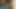 my desi indian tamil submissive slut sucking my dick