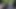 Into the mist episode v: wer ist brad?