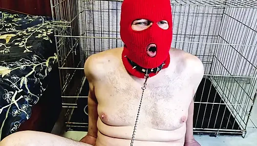 Dominatrix teases slave by giving him the opportunity to fuck her feet, but does not allow the slave to cum