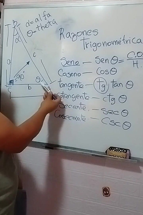 Trygonometria: Proporcje trygonometryczne