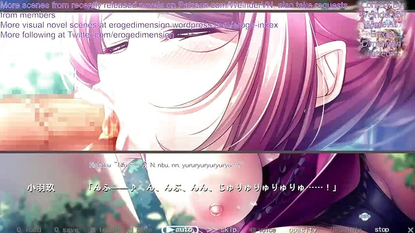 Hakoniwa Route1 cena 1-7