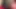 Quick Blowjob and Cumshot in Latex Outfit!