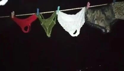 mi ricas tanguitas