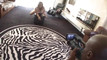 Pregled videozapisa