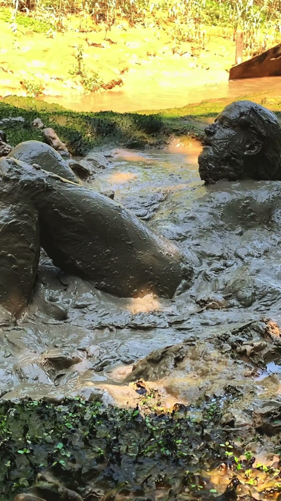 MUD SUBMISSION | Clip 3