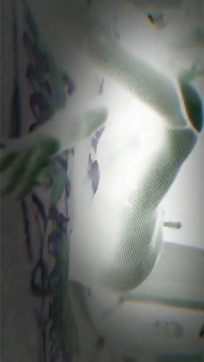 My Seductive Strip Tease