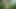 Futanari Poison Ivy Solo Masturbation