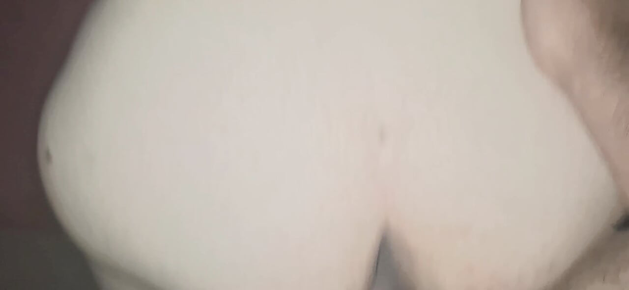 of a puppy
