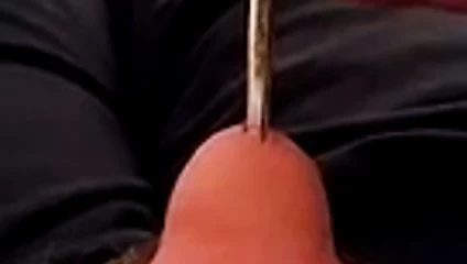 sondaj