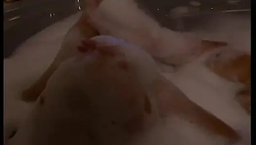 Cewek nakal toket besar lagi asik ngentot kontol cowok ini sebelum dicrot di dalam ruangan