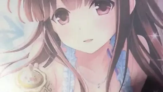 SoP 06