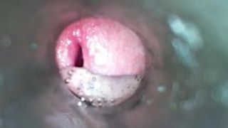 Искусственная вагина с внутренним камшотом, HD