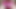 For Fan Club Playing in Wet Pink Bikini Bottoms