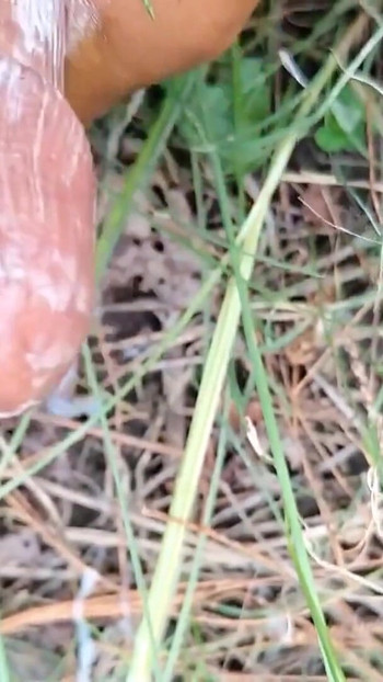 Jaw-dropping moment from "Masturbation pt2 Satisfying Orgasm Indian boy masturbating in the jungle  with SHAMPOO"