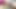 妻との口論で、彼女の膣を激しく突く