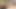 I want to ejaculate in her mouth with a blowjob, but already on the verge of an outburst with my dick! 2