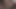 Güzel memeli zenci sürtük kanepede uzun siyah yarağı sikiyor