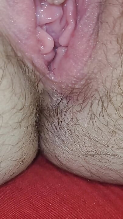 脉动的阴户