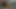 oral seks ve anal yapay penis