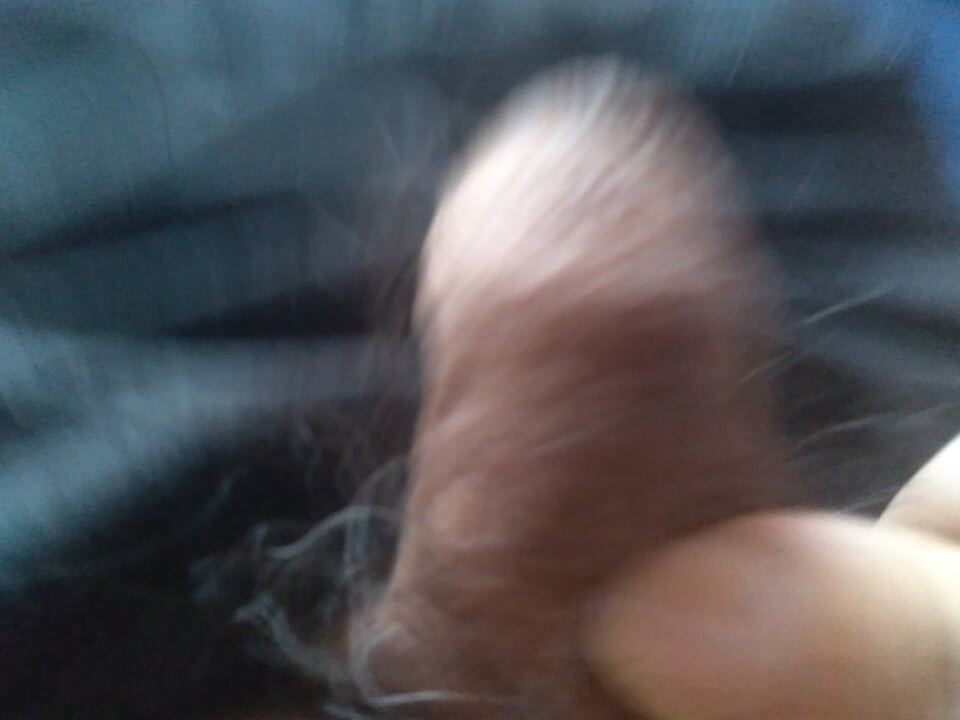 young and his cute cock can finish in your mouth