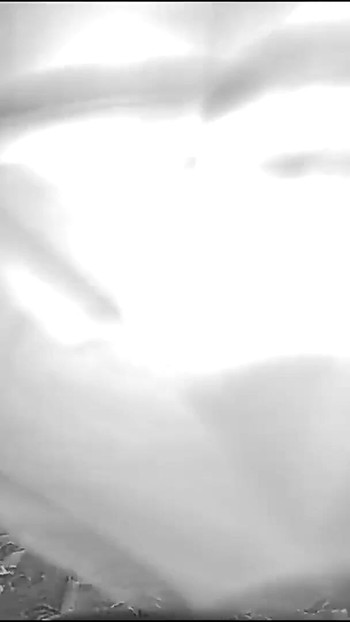 Uzbudljiv trenutak iz filma "Indijska domaćica ljubi usne u guzicu"