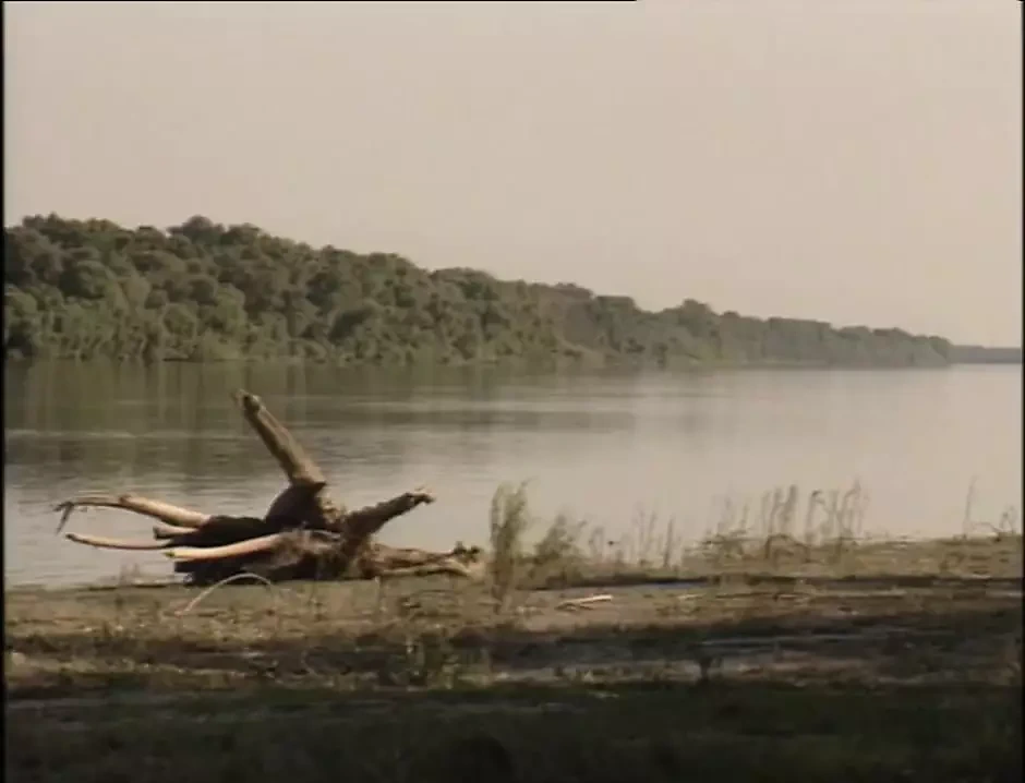 Freche Sex-Abenteuer! (Full Movie)